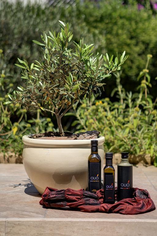 Appia Antica Resortローマ エクステリア 写真
